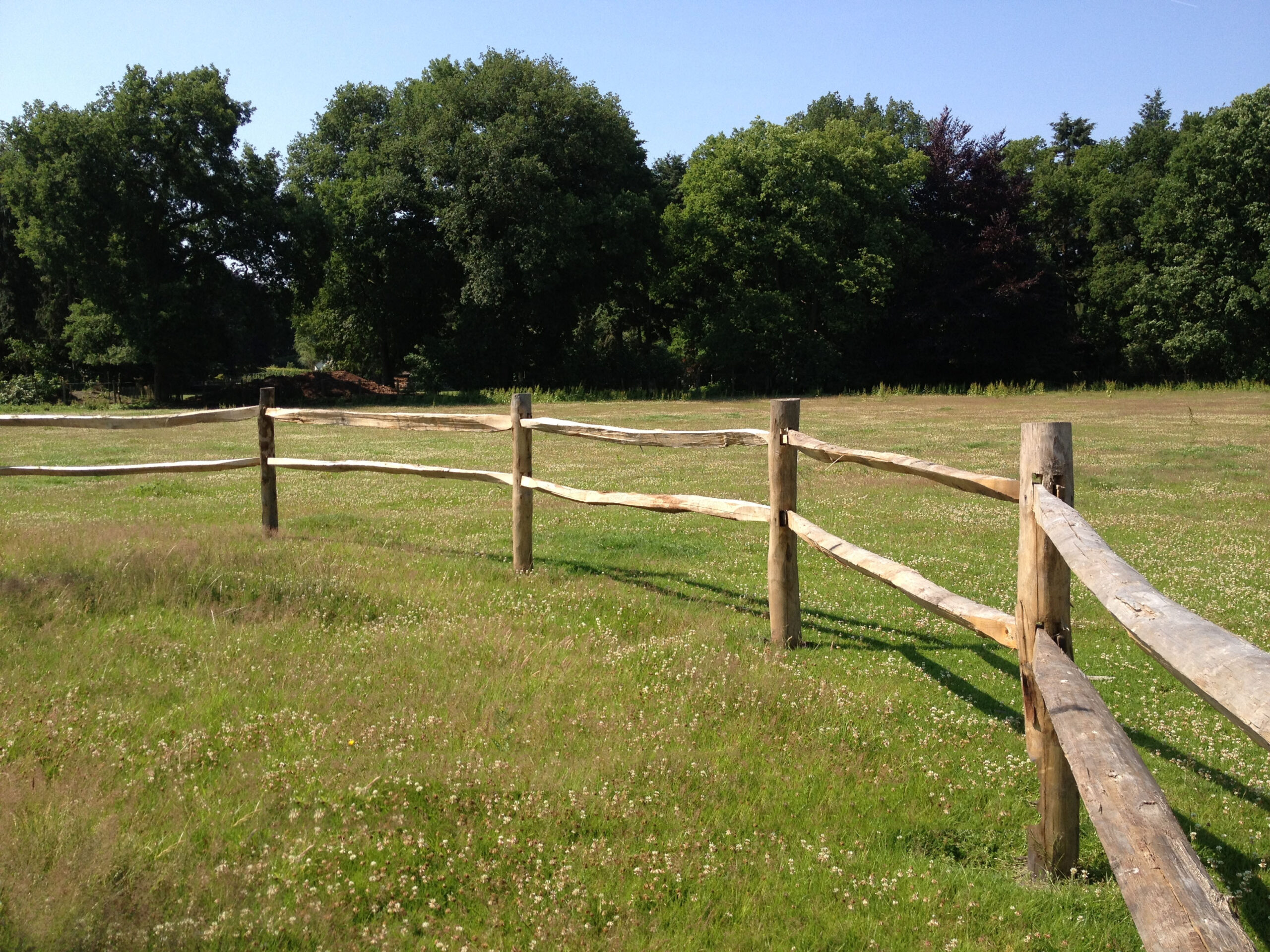 kastanjehout post and rail voor paardenweiden en paardenomheiningen